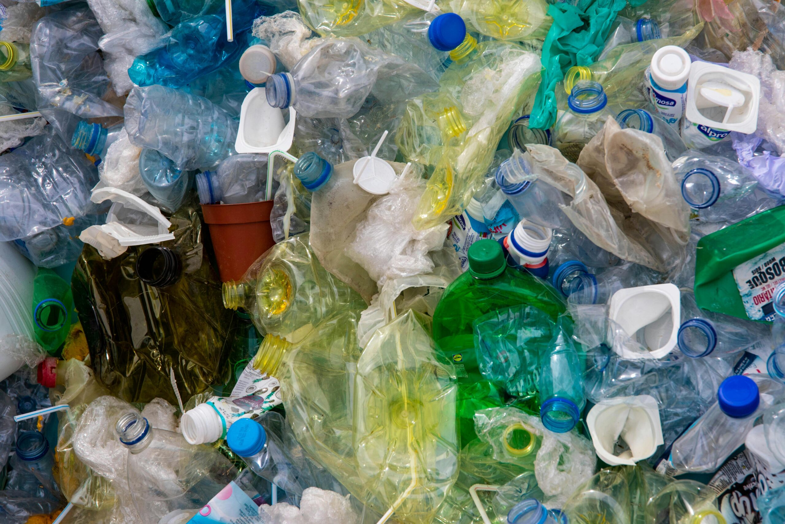 Zero waste w podróży