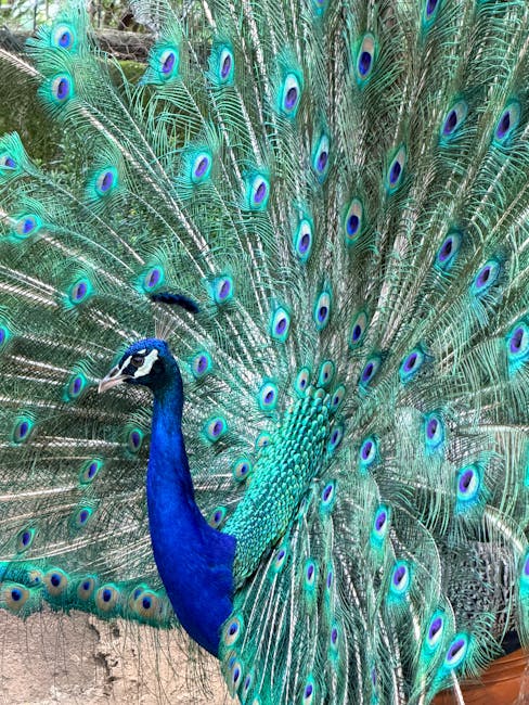 Dolní Vítkovice, przemysł, most, park, zoo